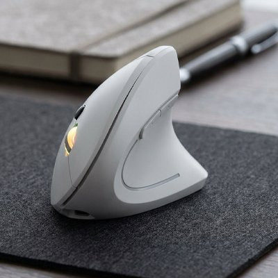 Souris bluetooth ergonomique de cÎté gris